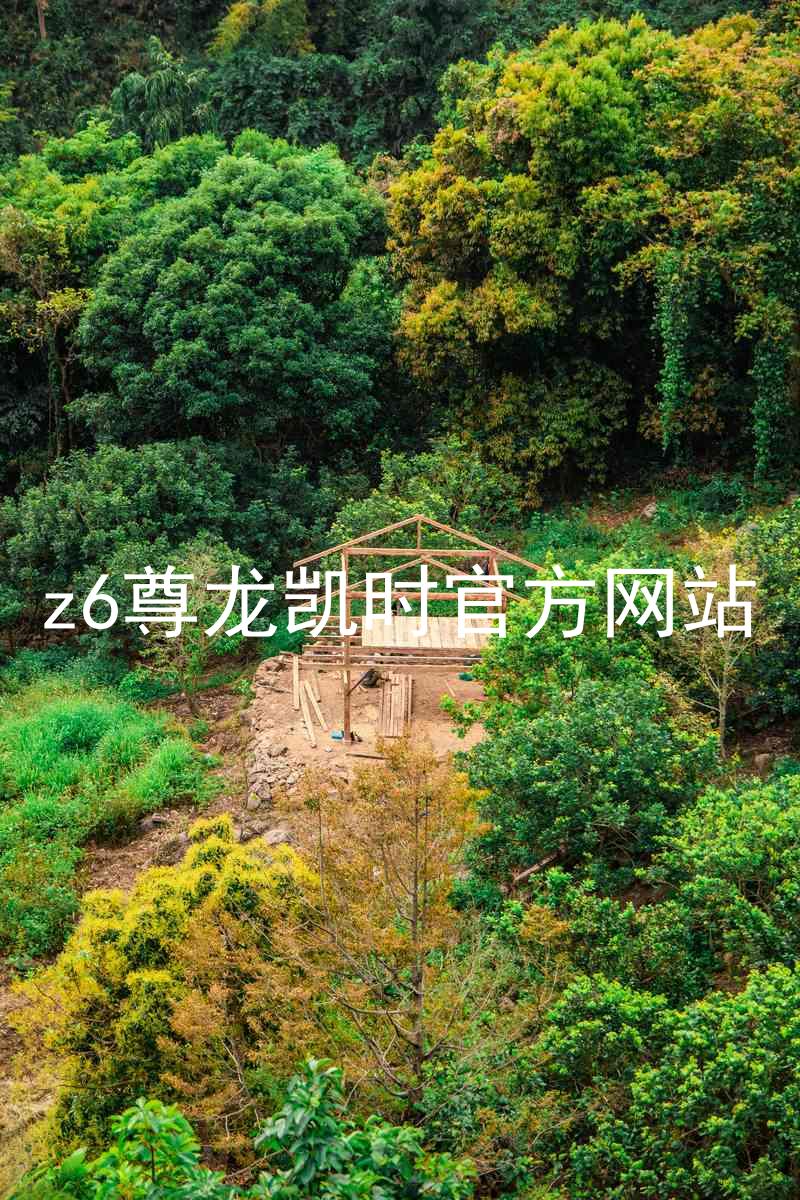 z6尊龙凯时官方网站