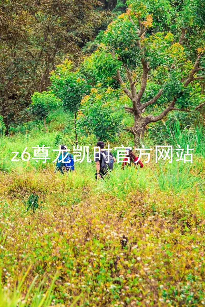 z6尊龙凯时官方网站